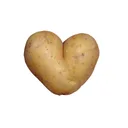 potatium app icon