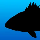 Fish Rules: Regulations & Maps app icon