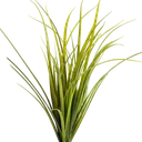 Montana Grasses app icon
