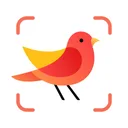 Picture Bird - Identificar Ave app icon