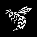 Wasp: Offline Music Player app icon