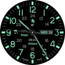 Field Watch 2 Wear OS 5+ app icon