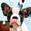Jigsaw Puzzles: HD Puzzle Game app icon