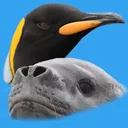 Antarctic Wildlife Guide app icon