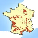 Wine Maps app icon