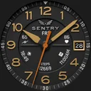 BLZ SENTRY - Field Watch Face app icon