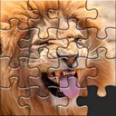 Puzzles para adultos app icon