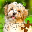 Quebra-cabeças: Puzzle de Foto app icon