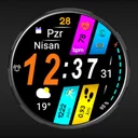 FSW260 WATCHFACE app icon