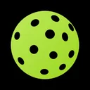 PickleballTrkr app icon