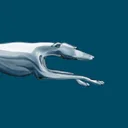 Greyhound: Buy Bus Tickets app icon