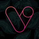 Vera Outline Icon Pack app icon