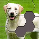 Hexa Jigsaw Puzzle ® app icon