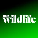 BBC Wildlife Magazine app icon