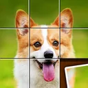 Shape Sort - jigsaw puzzle app icon