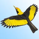 Morcombe & Stewart Guide app icon