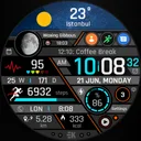Realistic Info - Watch Face app icon