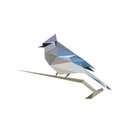 BirdNET app icon