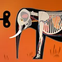 Mammals by Tinybop app icon