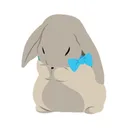 WhosDue app icon