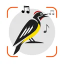 Bird Sounds Identifier Call ID app icon