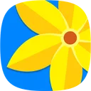 Gallery - Photo Album app icon