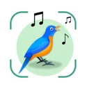 Bird Sound Identifier Bird ID app icon