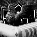 Super App do Galo app icon