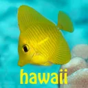 Snorkel Fish Hawaii for iPhone app icon