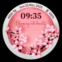 WF4U Blossom Floral Watchface app icon