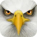 Ultimate Bird Simulator app icon