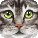 Ultimate Cat Simulator app icon