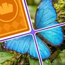 Jigsaw Drop: Solitaire Puzzle app icon