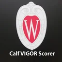 Calf VIGOR Scorer app icon