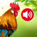 Animal sounds & wallpaper app icon