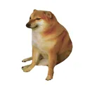 Cheems app icon