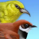 iBird Hawaii & Palau Guide app icon