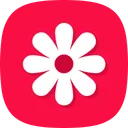 Gallery - photo gallery, album app icon