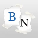 Bidnapper Auction Sniper app icon