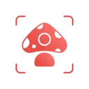 Picture Mushroom - Mushroom ID app icon