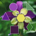 ColorHints Mosaic app icon