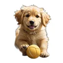 Golden Retriever Cute Stickers app icon